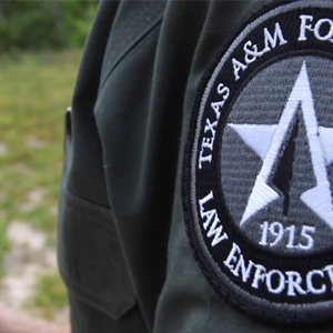 LE shoulder patch